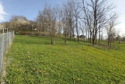 Teren de 3513 mp, în Vișinești - 5