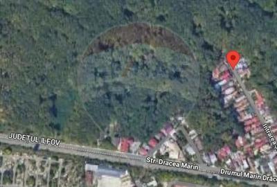Teren de 299 mp, în Voluntari - 10