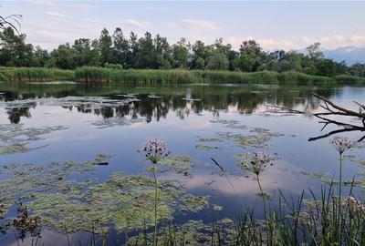 Ocazie!Oaza de liniste in satul Colun,cu 572mp ,la 40km de Sibiu Ocazie!Oaza de liniste in satul Colun,cu 572mp ,la 40km de Sibiu - 33