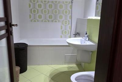 Apartament cu 2 camere, mobilat în Podu Roș - 13