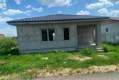Casă individuală 3 camere plus tereasa zona sintesti - 2