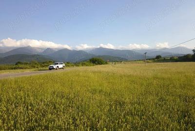 Teren de 1800 mp, în Cârțișoara - 1