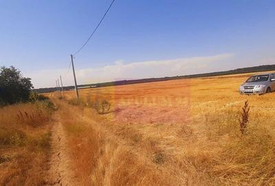 Teren pentru casa/case in Brane?ti pe strada Topora?i - 16