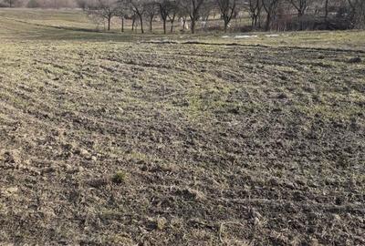 Spațiu comercial, în Sânmartin - 4