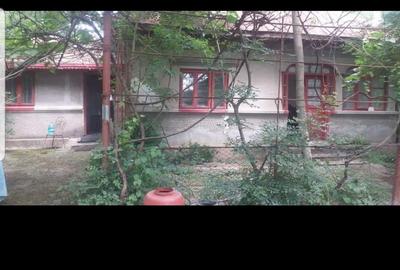 Casă cu 6 camere cu Teren 4000 Mp în Petrești - 2