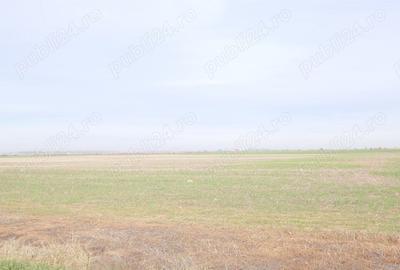 Teren de 270000 mp, în Gherghița - 2