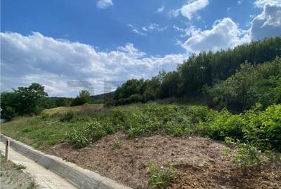 RECO Teren Extravilan Bratesti - 3