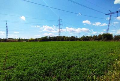 MEGA OCAZIE TEREN INTRAVILAN INDUSTRIAL 13652 MP DRUMUL LUNCA CETATII 42 E/MP - 5