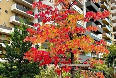 Apartament 2 camere decomandata- mobilat - URBAN PLAZA - 19