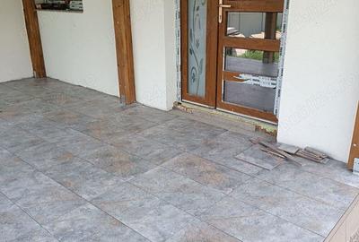 Casă cu 4 camere cu Teren 1144 Mp în Precista - 10