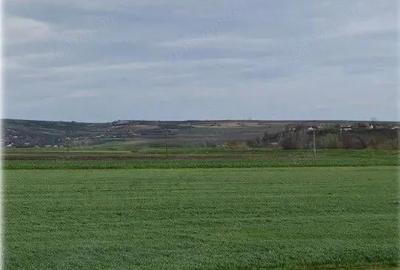 Teren de 20000 mp, în Andrieșeni - 2