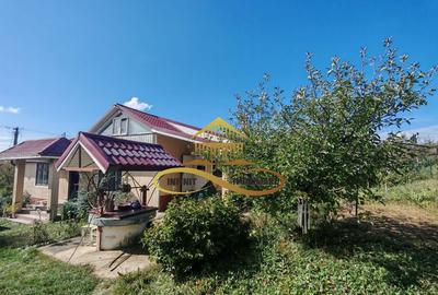 Casa din caramida cu 4 camere Sat Grigoreni, apro... - 14