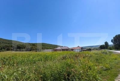 Teren de 4900 mp, în Central