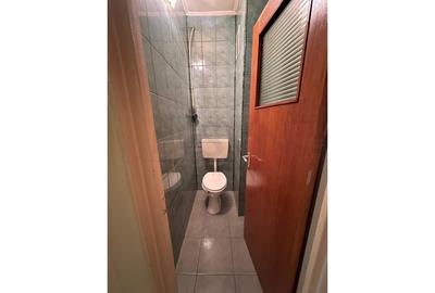 Apartament cu 3 camere circular în Ferdinand - 15