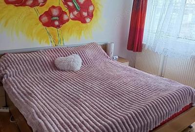 Apartament cu 2 camere semidecomandat în Central - 2