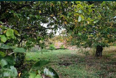 Casă cu 2 camere în Schitu Duca