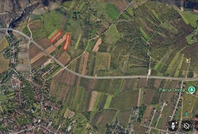 Spațiu comercial, în Oncea - 7