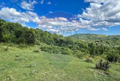 Teren intravilan Breaza 21190 mp Dealuri str. Livezi 6G - 2