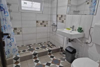 Casă cu 6 camere cu Teren 260 Mp în Berceni