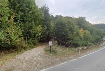 Teren de 700 mp, în Gura Siriului - 6