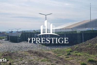 Teren de 2000 mp, în Trei Stejari - 7