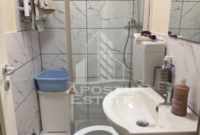 Casă individuală cu 7 camere cu Canalizare în Buziașului - 11