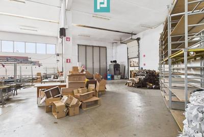 Hală de producție, cu birouri și teren, în Sebiș - 25