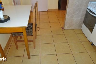 Apartament cu 2 camere semidecomandat în Gojdu - 7