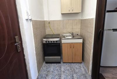 Garsonieră în Iosefin - 4