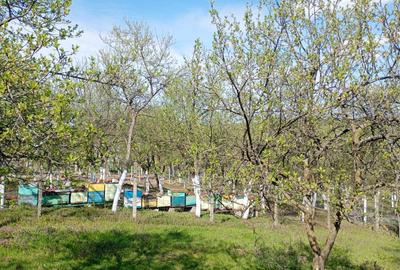 Casă cu 4 camere în Herneacova - 2