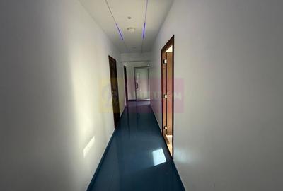 Proprietate specială, de 800 mp, în Theodor Pallady - 22