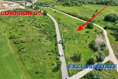AZURA Imobiliare - Teren Topoloveni Bamesa Autostrada - 1