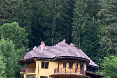 Pensiune Bistrita, Neamt - 1