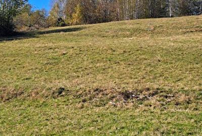Teren extravilan in localitatea Bulz - 14