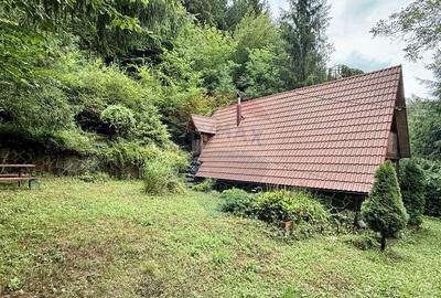 Cabana de lemn zona Barajului Firiza