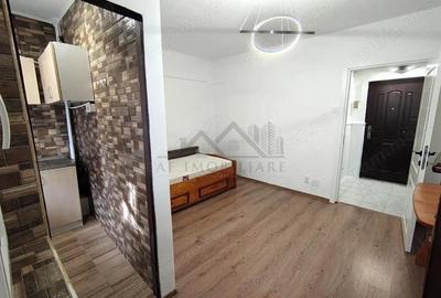 Garsonieră decomandată în Vișan - 5