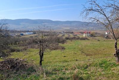 Teren Construcții intravilan de 14500 mp, în Șieu-Măgheruș - 3