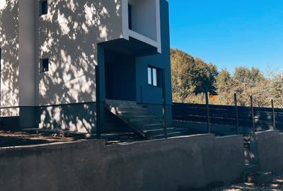 Casa / vila Stefanesti , stadiul predarii : '' La Cheie '' ! - 27