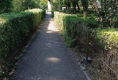 Apartament 3 camere decomandate, 60 mp,  Gheorgheni/ Detunata - 1