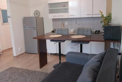 Apartament cu 2 camere semidecomandat, mobilat în Podul de Fier - 4