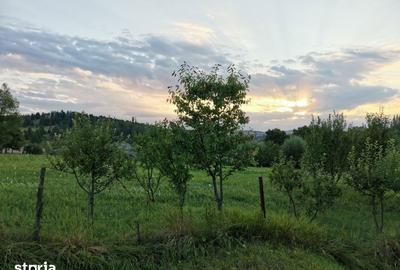 Teren de 7410 mp, în Cornu Luncii - 13