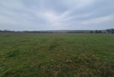 Teren extravilan de 10070 mp, în Lipoveni - 5