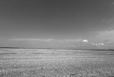 Teren extravilan Albesti, Ialomita - 1