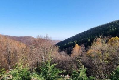 Casa de vacanta, 5 camere, 130 mp, teren 1000 mp, zona Valea - 6