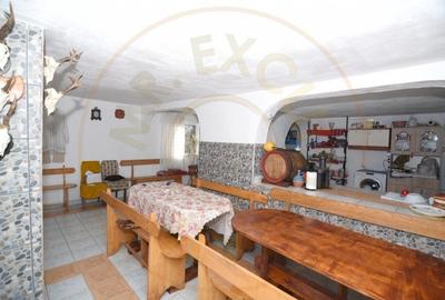 Casa/pensiune 6 camere loc. Salatrucu. Pretabila investitie. Comision 0% ! - 6