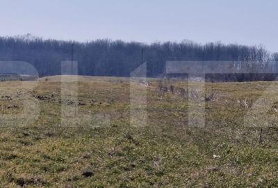 Teren de 10000 mp, în Jibert - 2