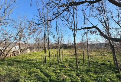 Casa de vanzare Tufesti - 3