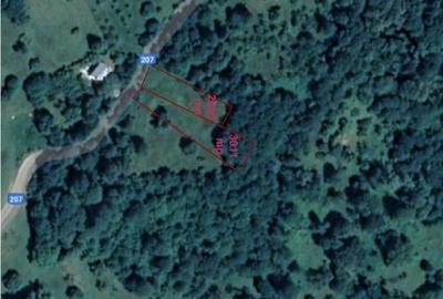 Teren Construcții intravilan de 5011 mp, în Nord-Vest - 1