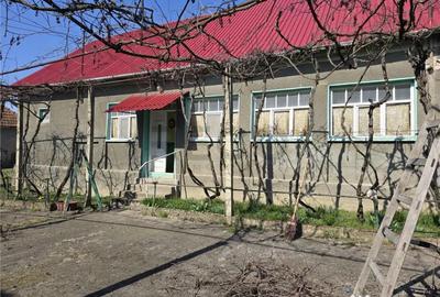 Casă cu 3 camere cu Teren 3309 Mp în Husasău de Tinca - 1