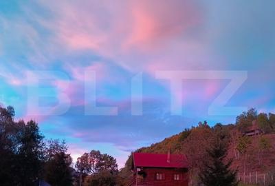 Casa de vacanta cu 4 camere,3300 mp teren,Valisoara - 20